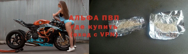 ГАЛЛЮЦИНОГЕННЫЕ ГРИБЫ Балахна