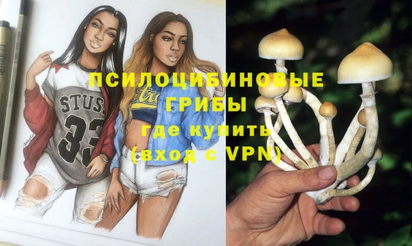 ГАЛЛЮЦИНОГЕННЫЕ ГРИБЫ Балахна